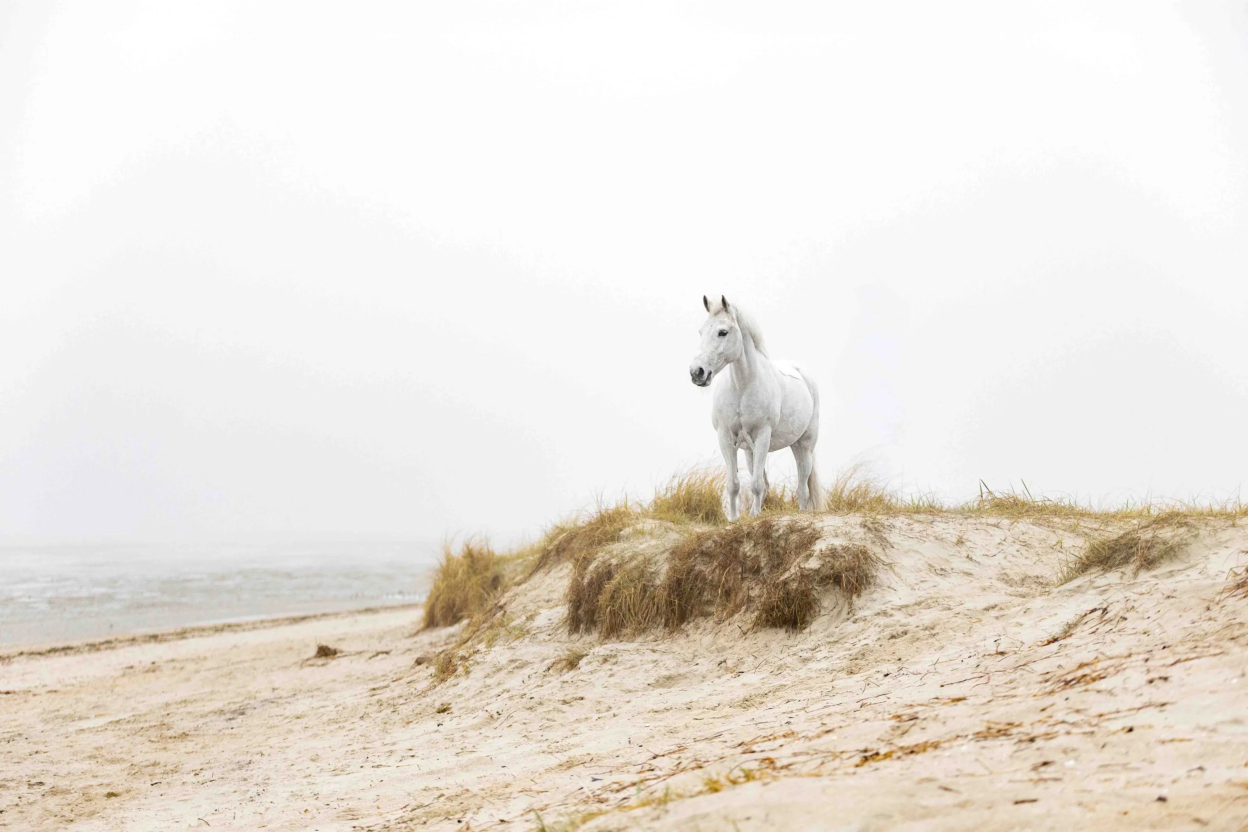 Treasure am Strand.jpg