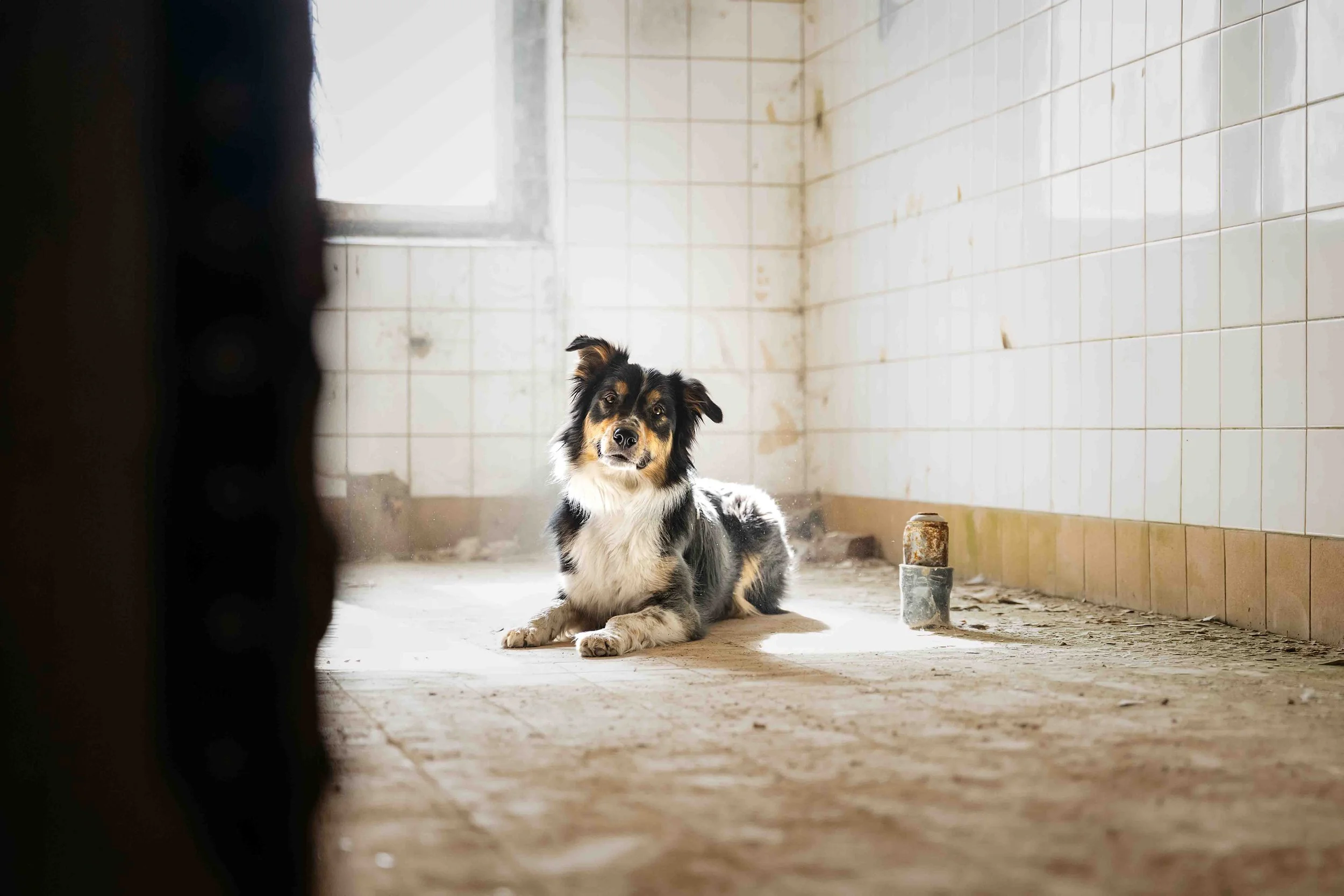 Perle im Lost Place.jpg