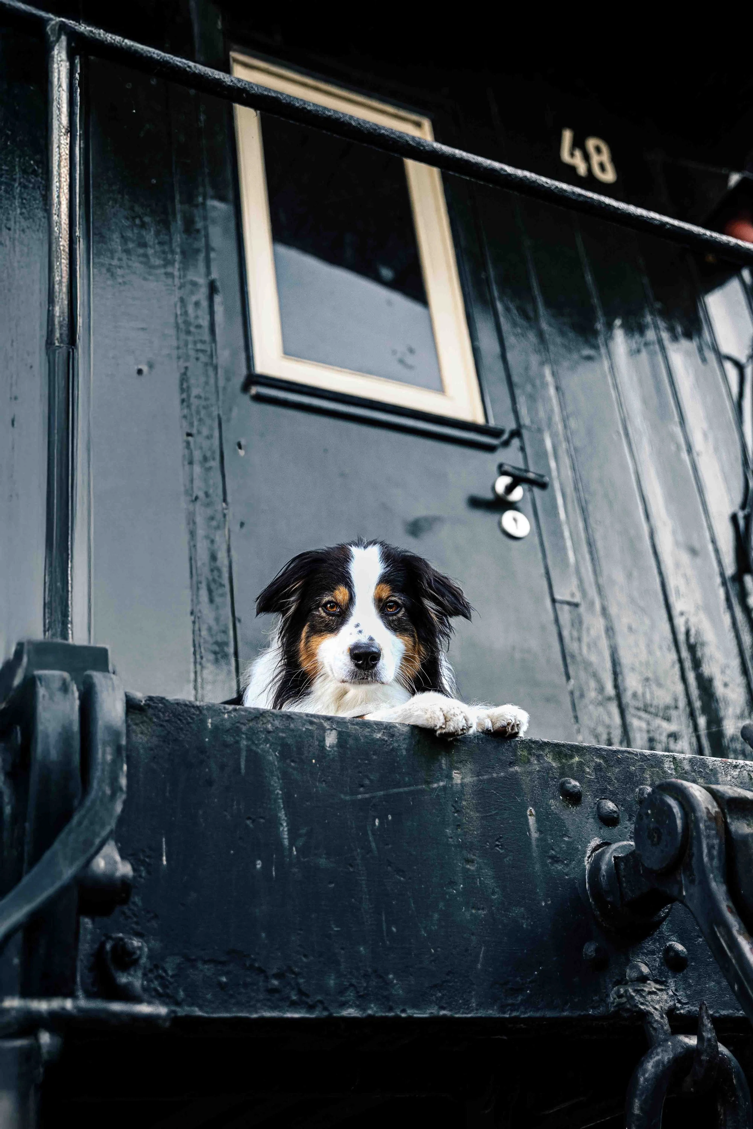 Linus in Hamburg.jpg