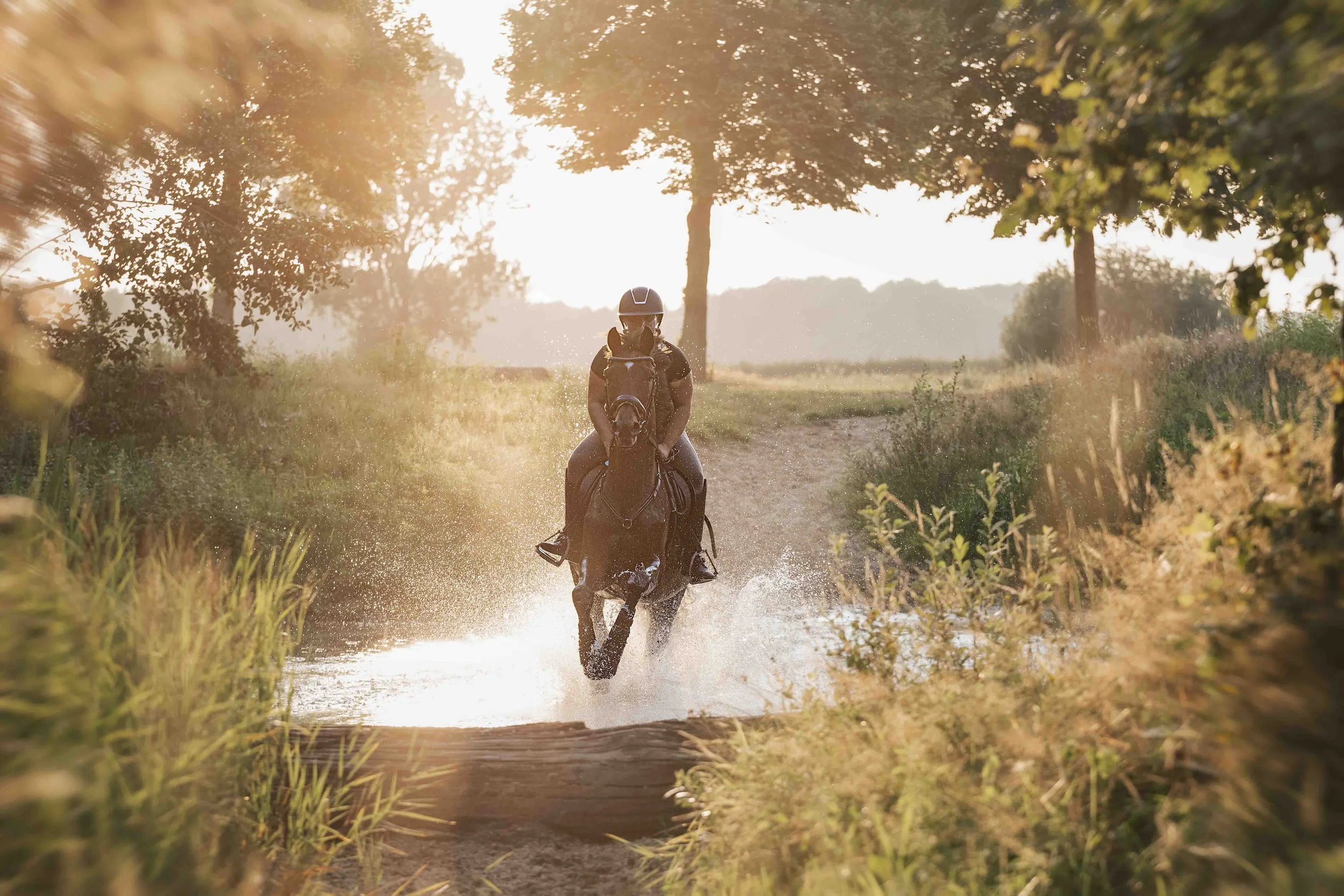 Isa und Karlsson.jpg