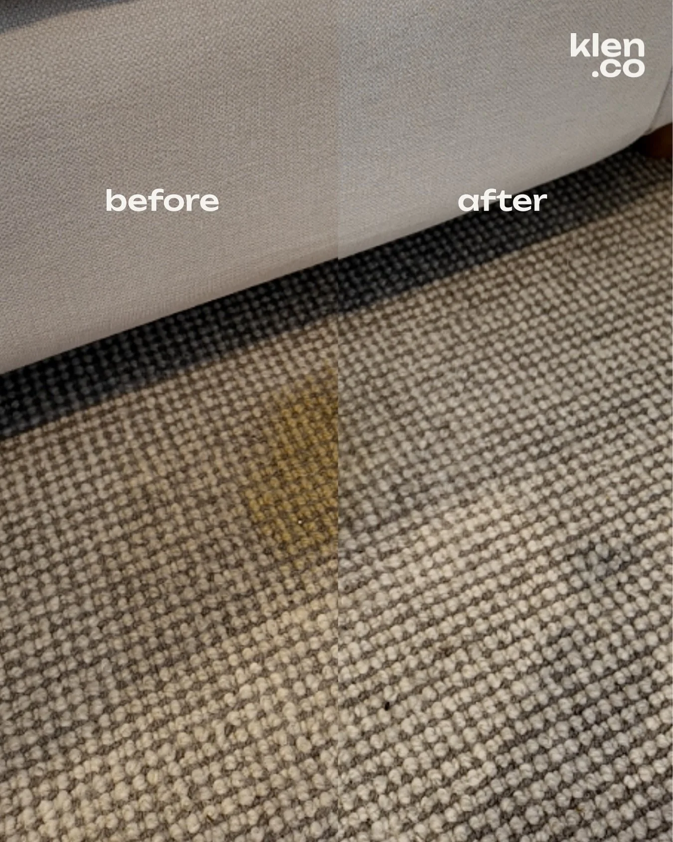 Carpet stains from the dog don&rsquo;t have to be a hassle when you have our Micro Cleaner on hand. Removed in just a few minutes with just steam - zero chemicals.

#carpetcleaner #stainremover #steamcleaner #cleanhome #cleaningtips #toxinfree
