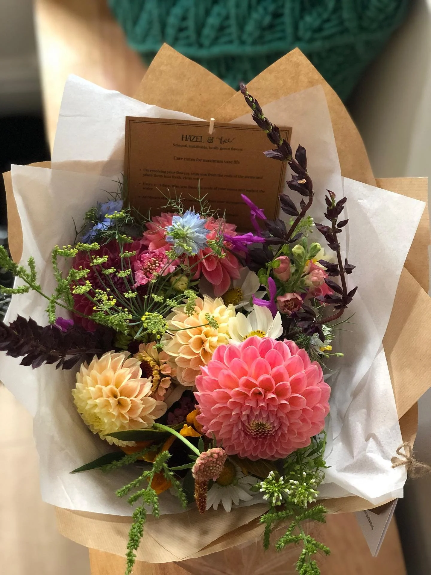 Dahlias 💘 
My first year EVER of winning on the dahlia front. I can&rsquo;t get enough. The first year they were slugged. The second year they were slugged. The third year they were slugged. This year? I had one casualty and the rest are throwing ou