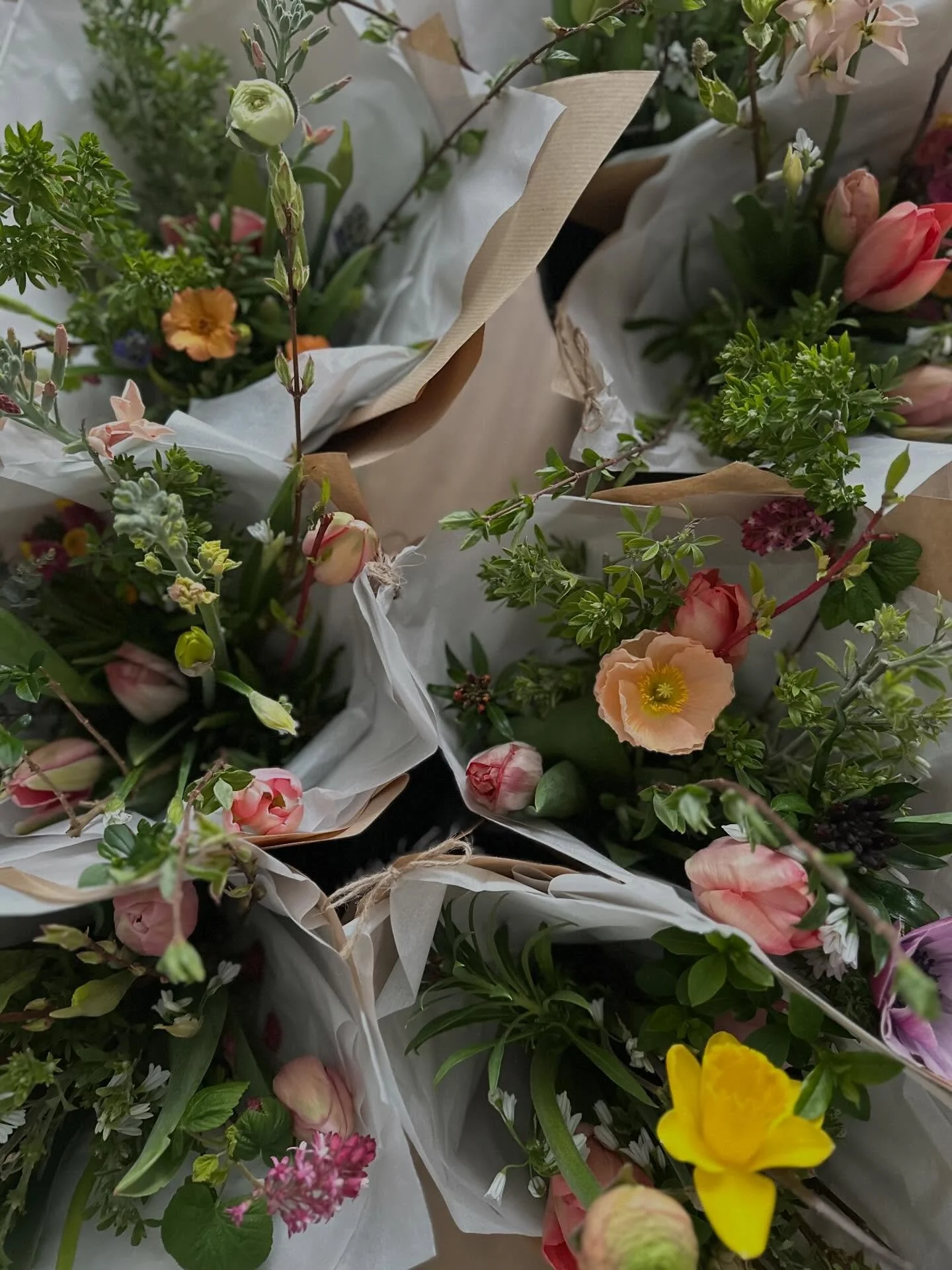 An incredible feeling. 10 Mother&rsquo;s Day bunches from our garden!! This morning&rsquo;s frost means we&rsquo;re not out of the woods (and rightly so - it&rsquo;s only March!) but hopefully this is the start of a slow ramp up of flowers 🥰💛✨🐝