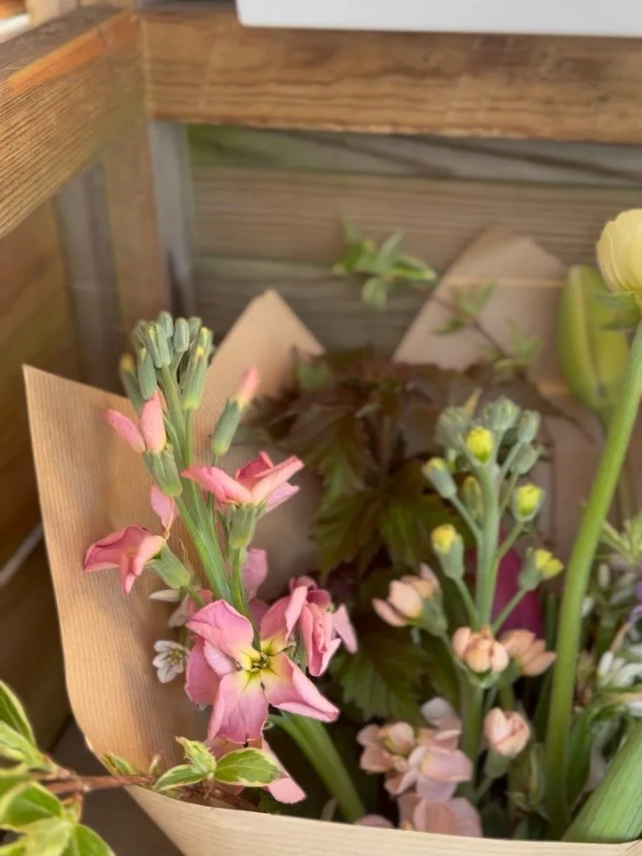 Cut flowers grown in our garden in Worthing 💖 incredibly beautiful and a miniscule carbon footprint 👣🌍✨

We have an honesty stand outside our house at 105 St Andrews Rd, BN13 1HR, restocked regularly now the season has begun - I always post an ins