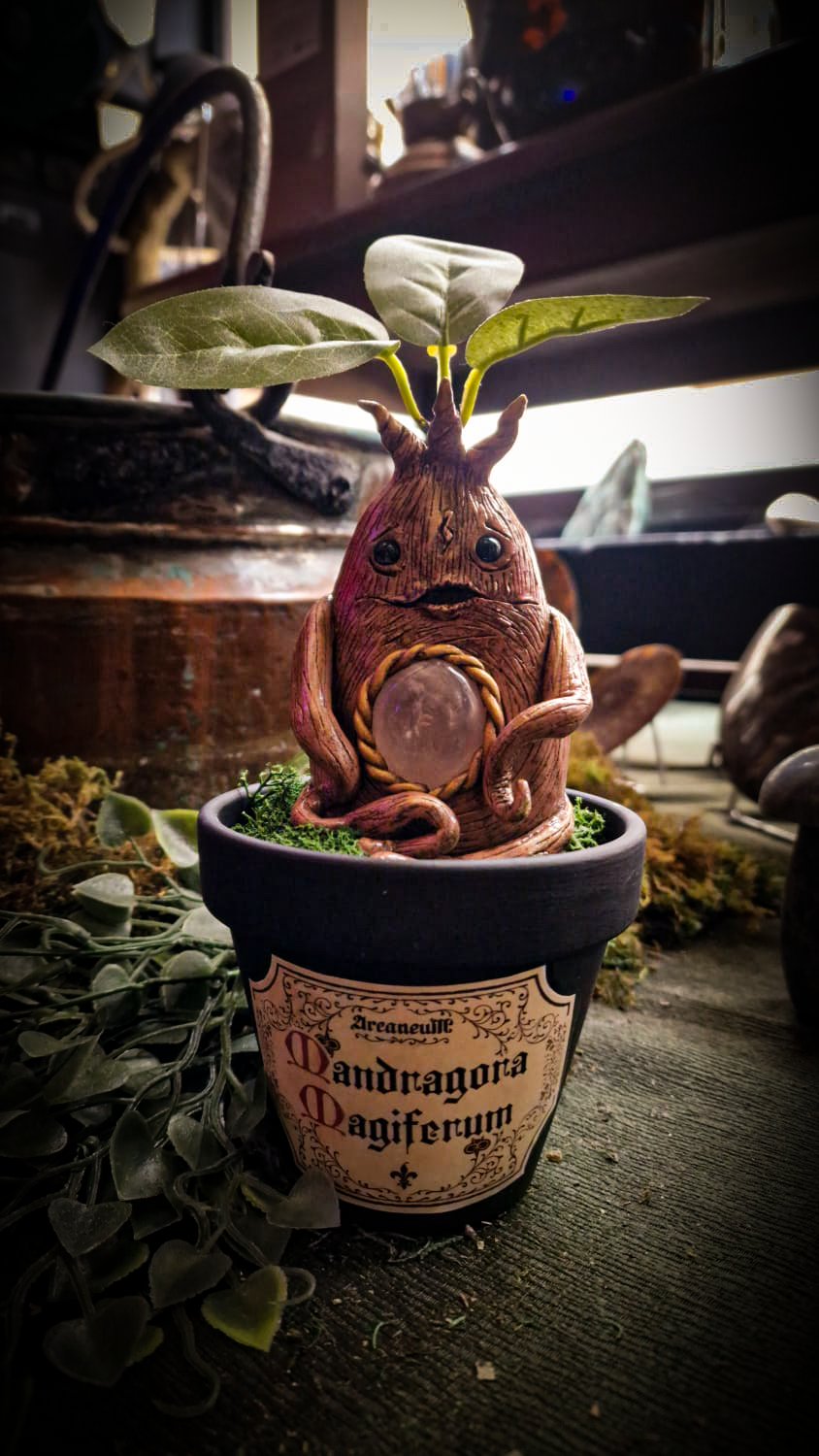 Mandragore Quartz Rose Grande