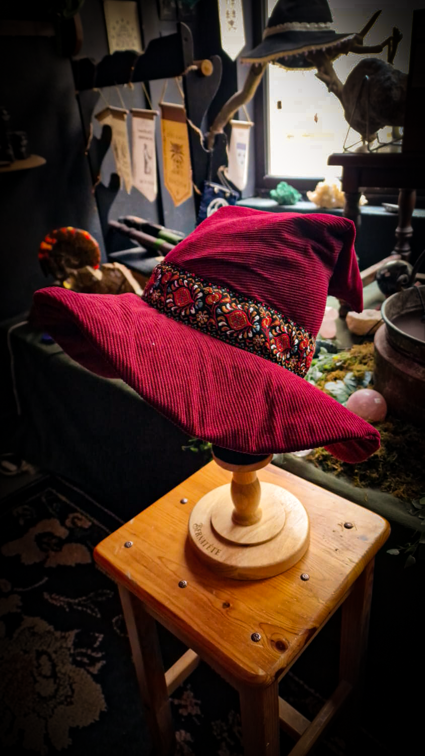 Chapeau de professeur de métamorphose