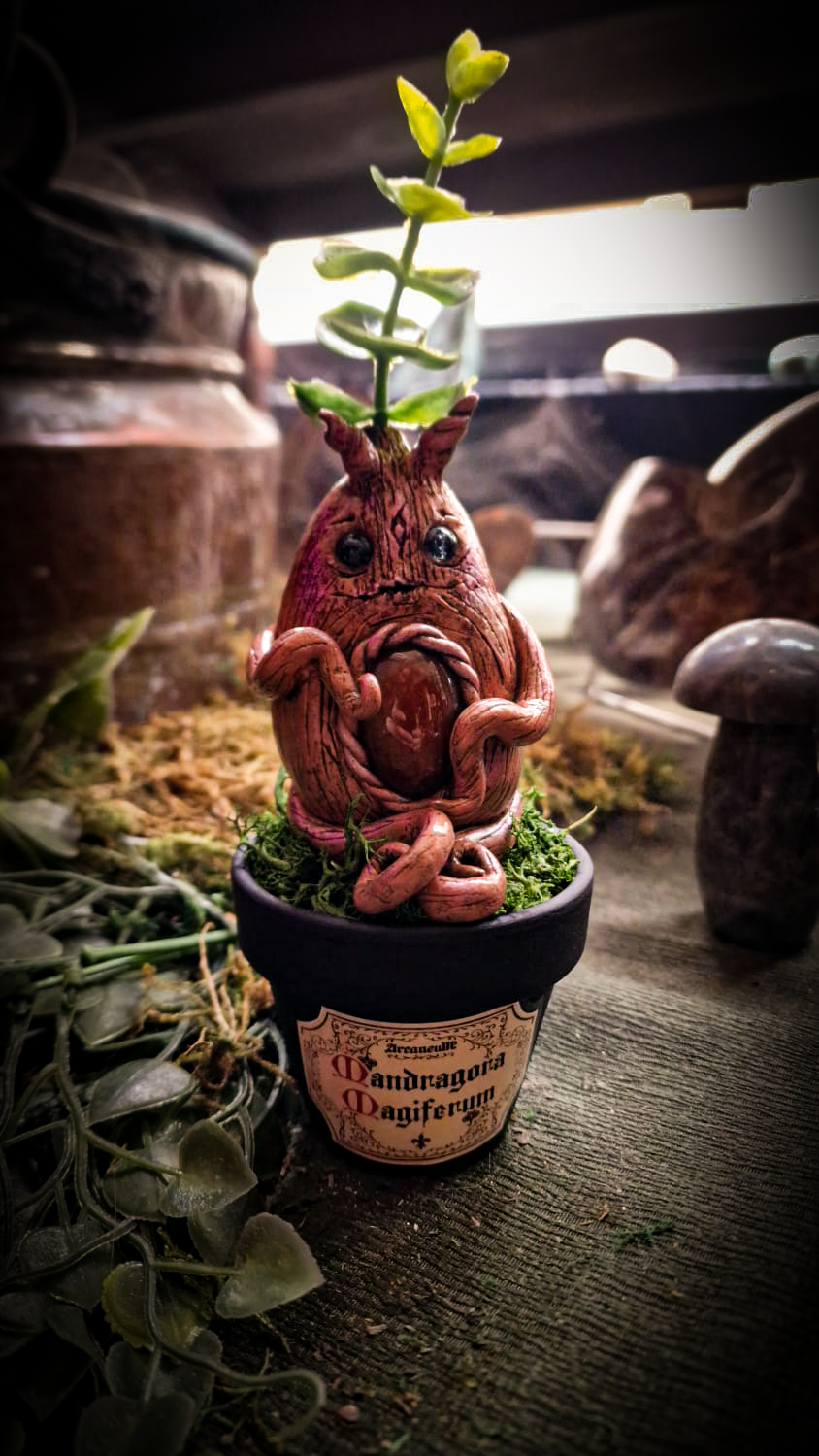 Mandragore Cornaline Medium