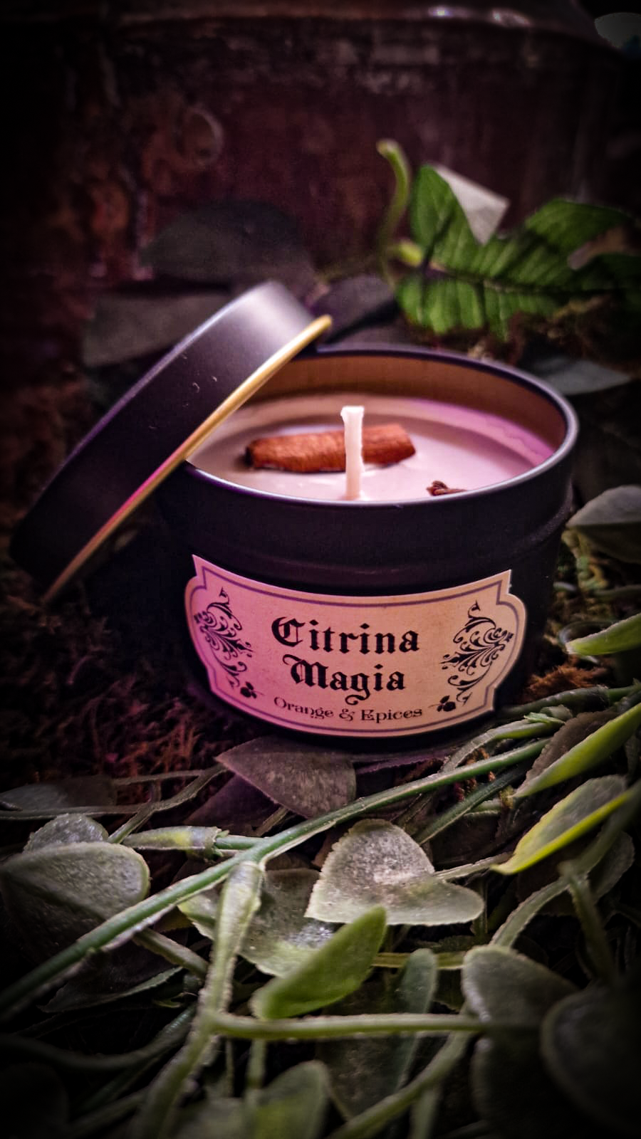 Citrina Magia - Orange & Epices