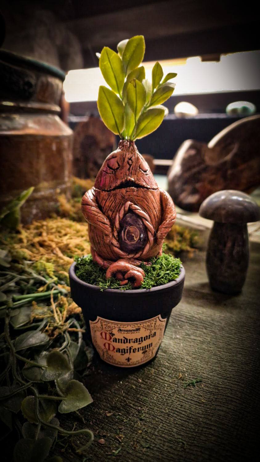 Mandragore Améthyste Medium