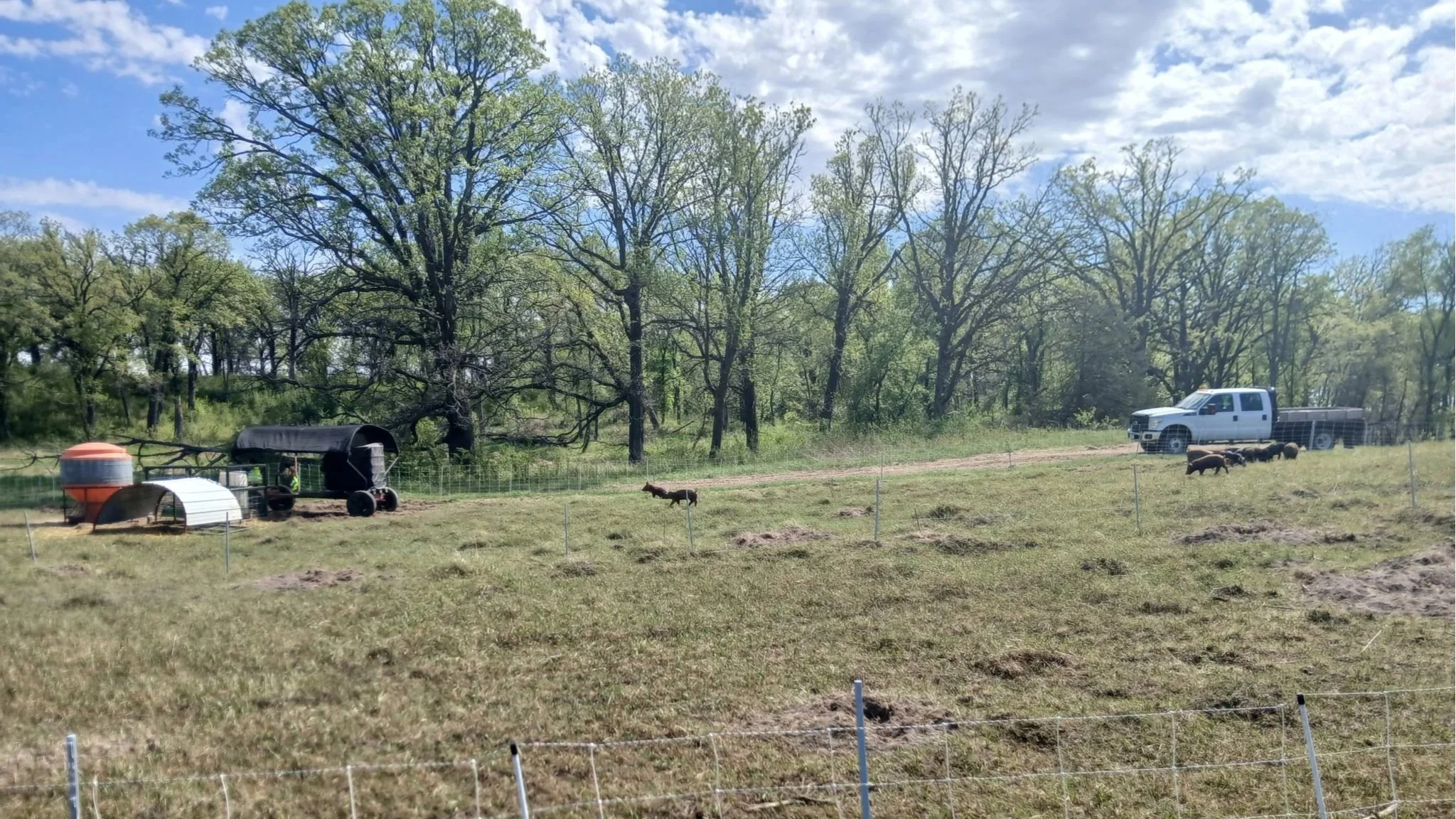 Lake Elmo Park Reserve - First move, final setup, and thoughts on farming