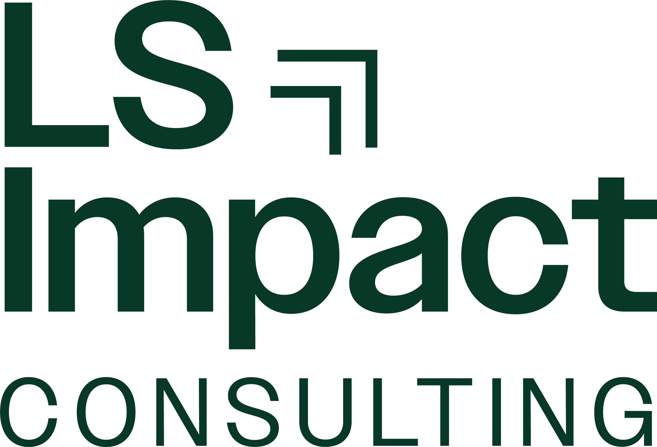 LS Impact Consulting