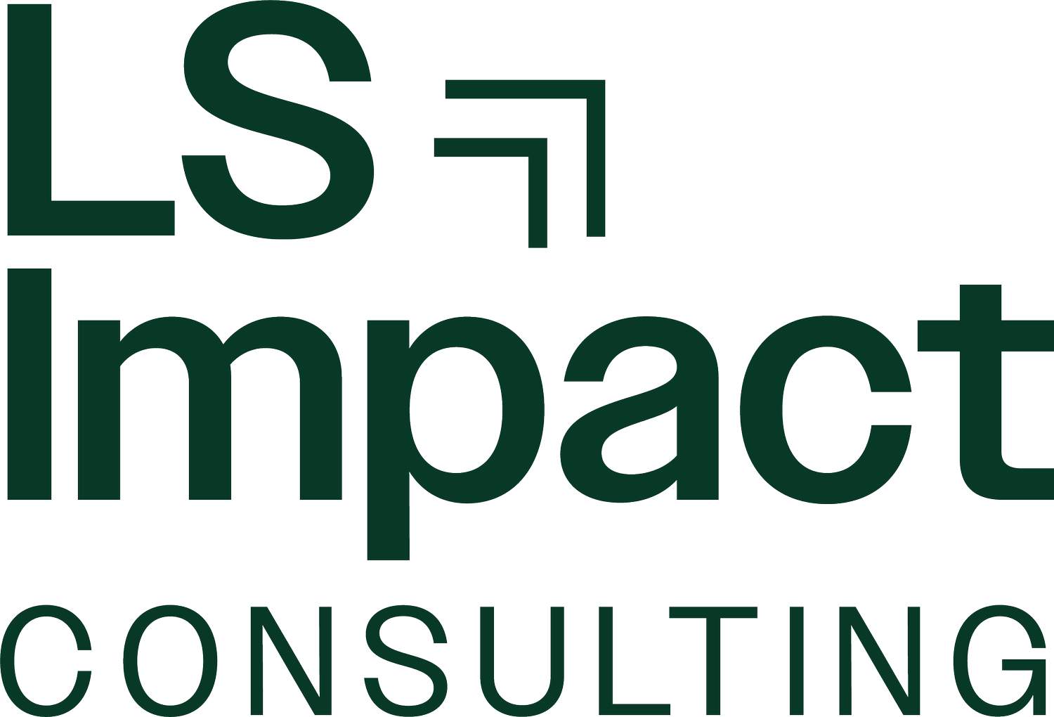 LS Impact Consulting