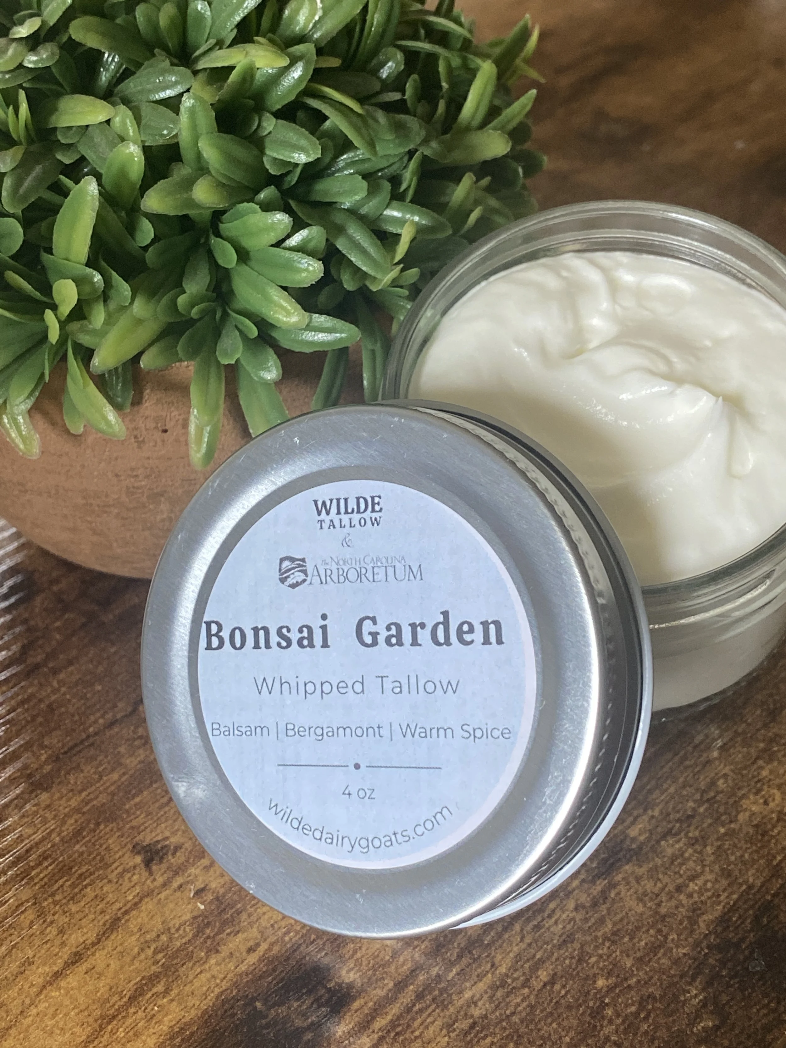 bonsai tallow 3.JPG