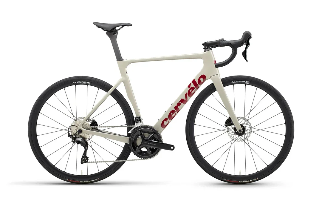 Soloist amaranth.webp