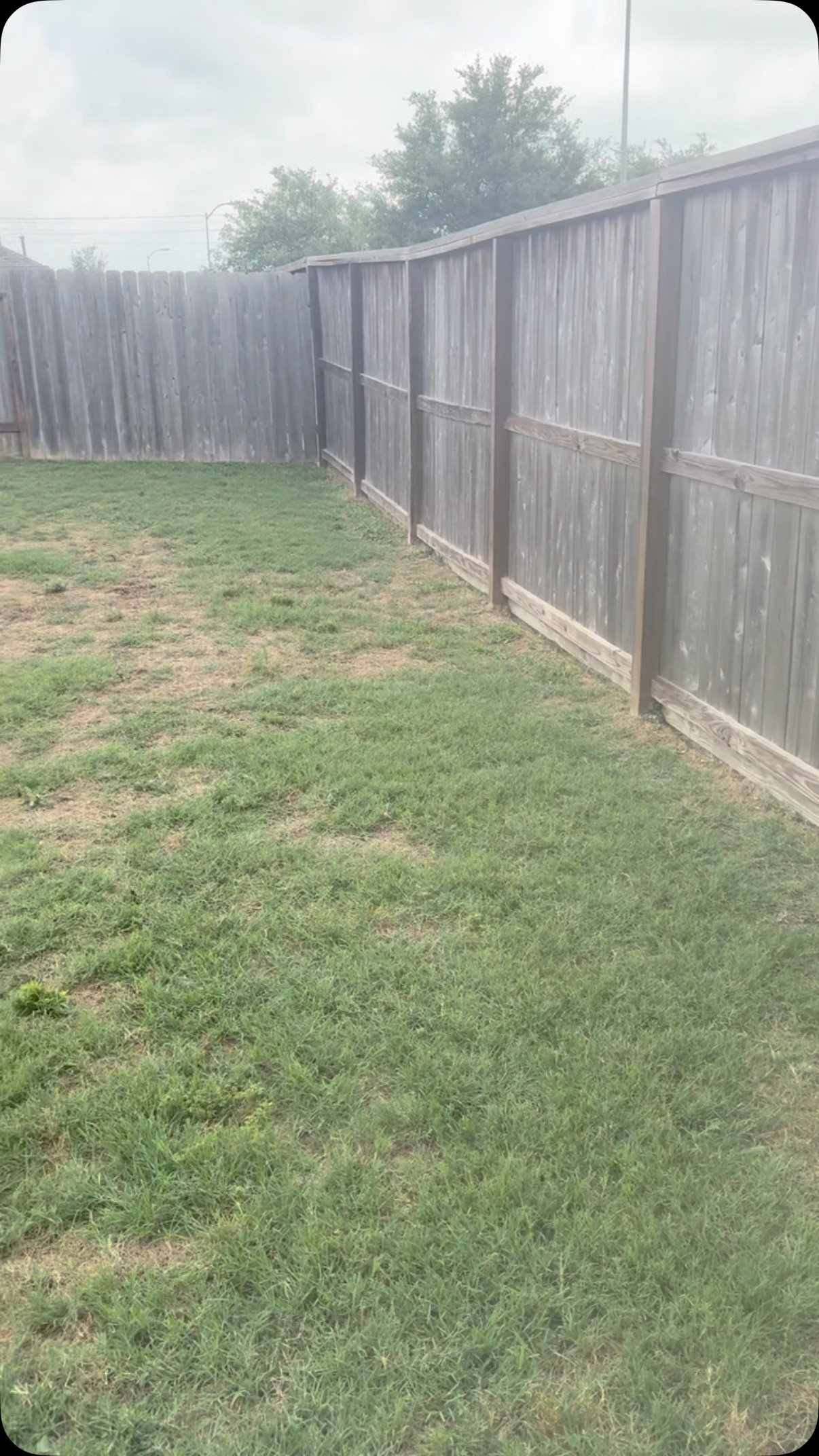 #pet #dog #wasteremoval #poopscooping #homeservice #yardservices #puppy #christian #furryfriends #clean #proffessionalism #familybusiness #smallbusiness #jesus #christfollower #christianmusic
