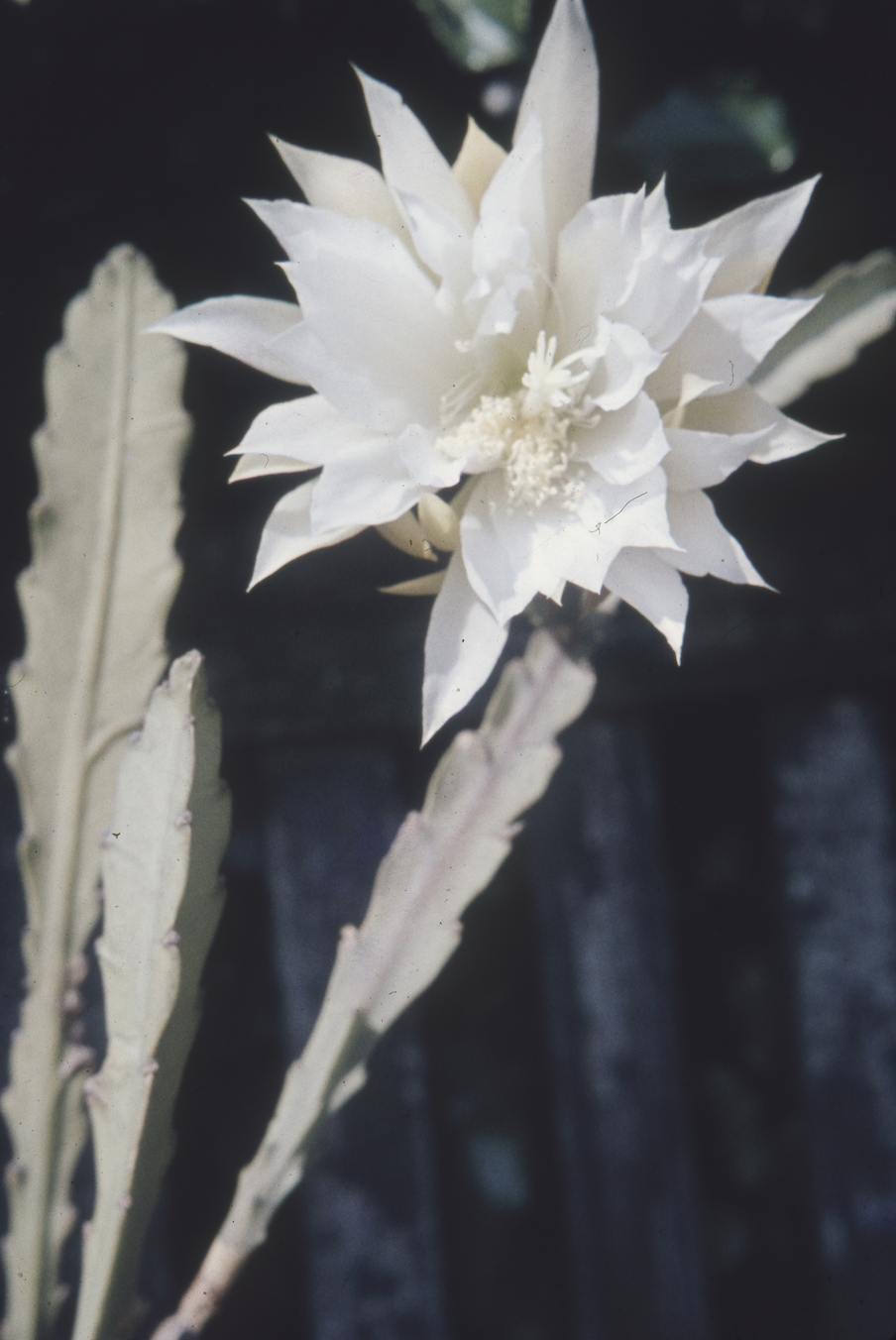 Screenshot 2026-01-30 at 00.42.34.png