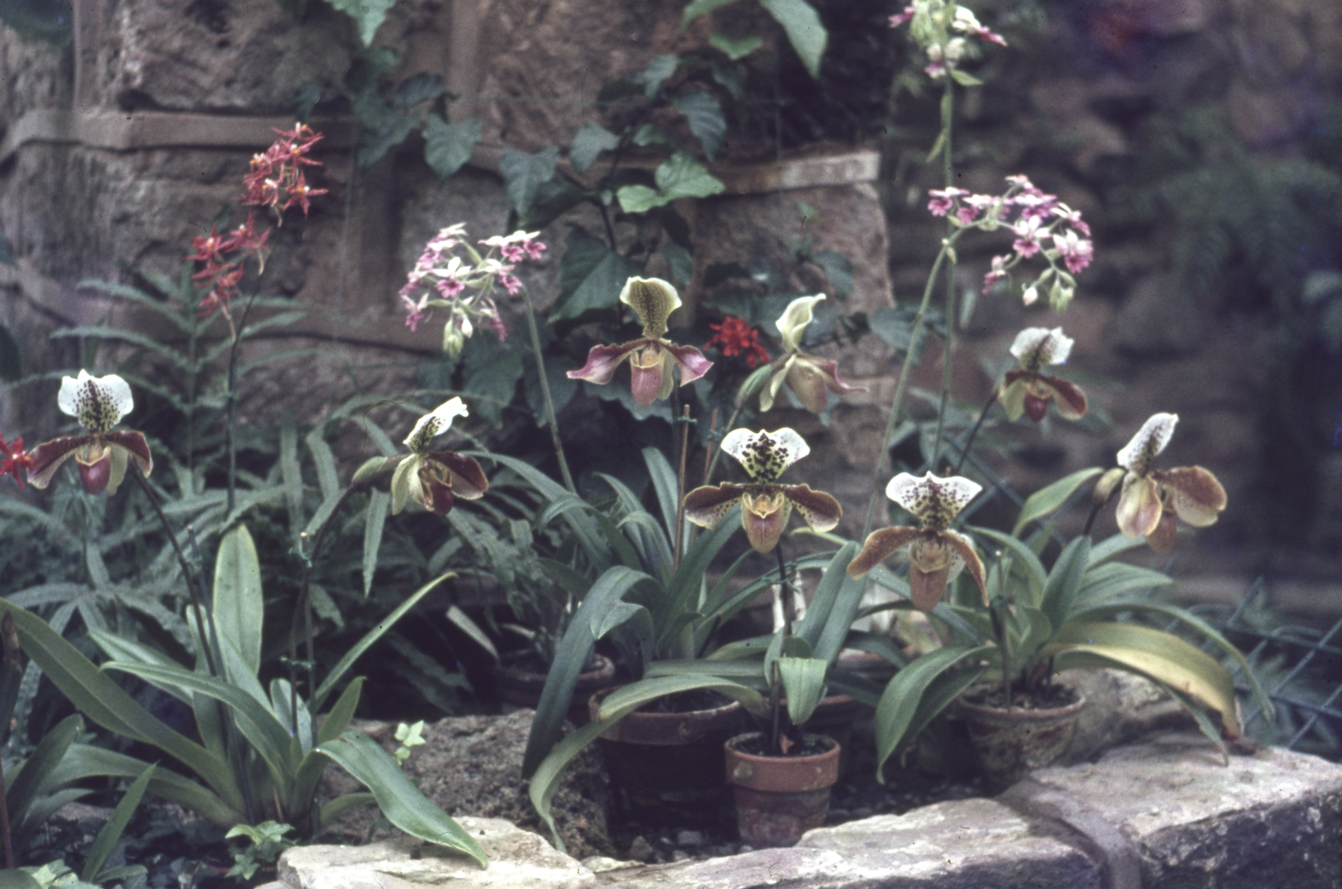 Screenshot 2026-01-30 at 00.44.40.png