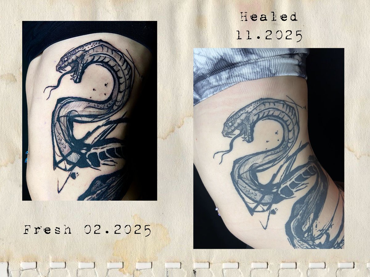 Fresh and healed photos of a snake tattoo going around the torso