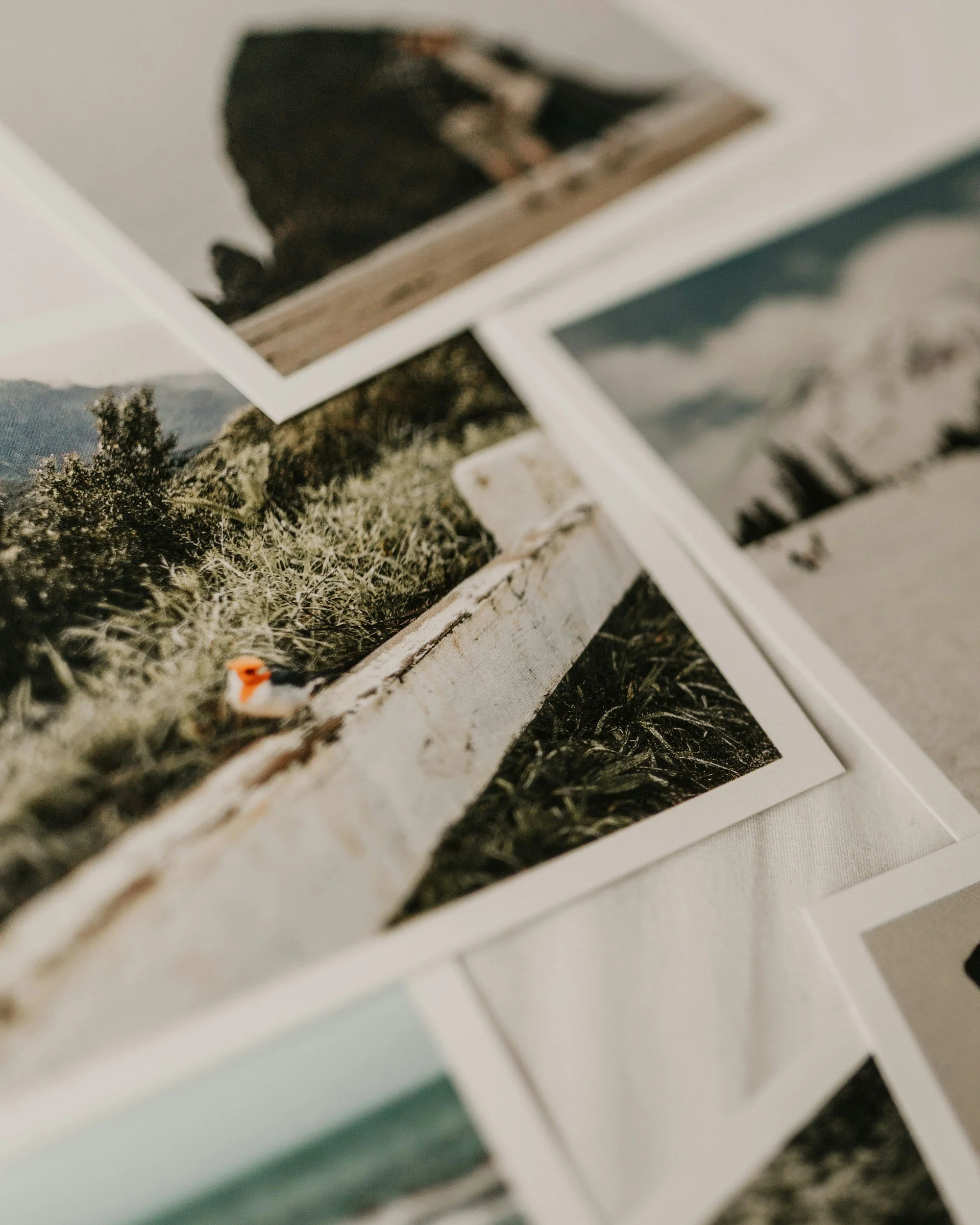 Close-up of printed photographs or postcards on a white surface with some grass and trees visible in the scenic images.