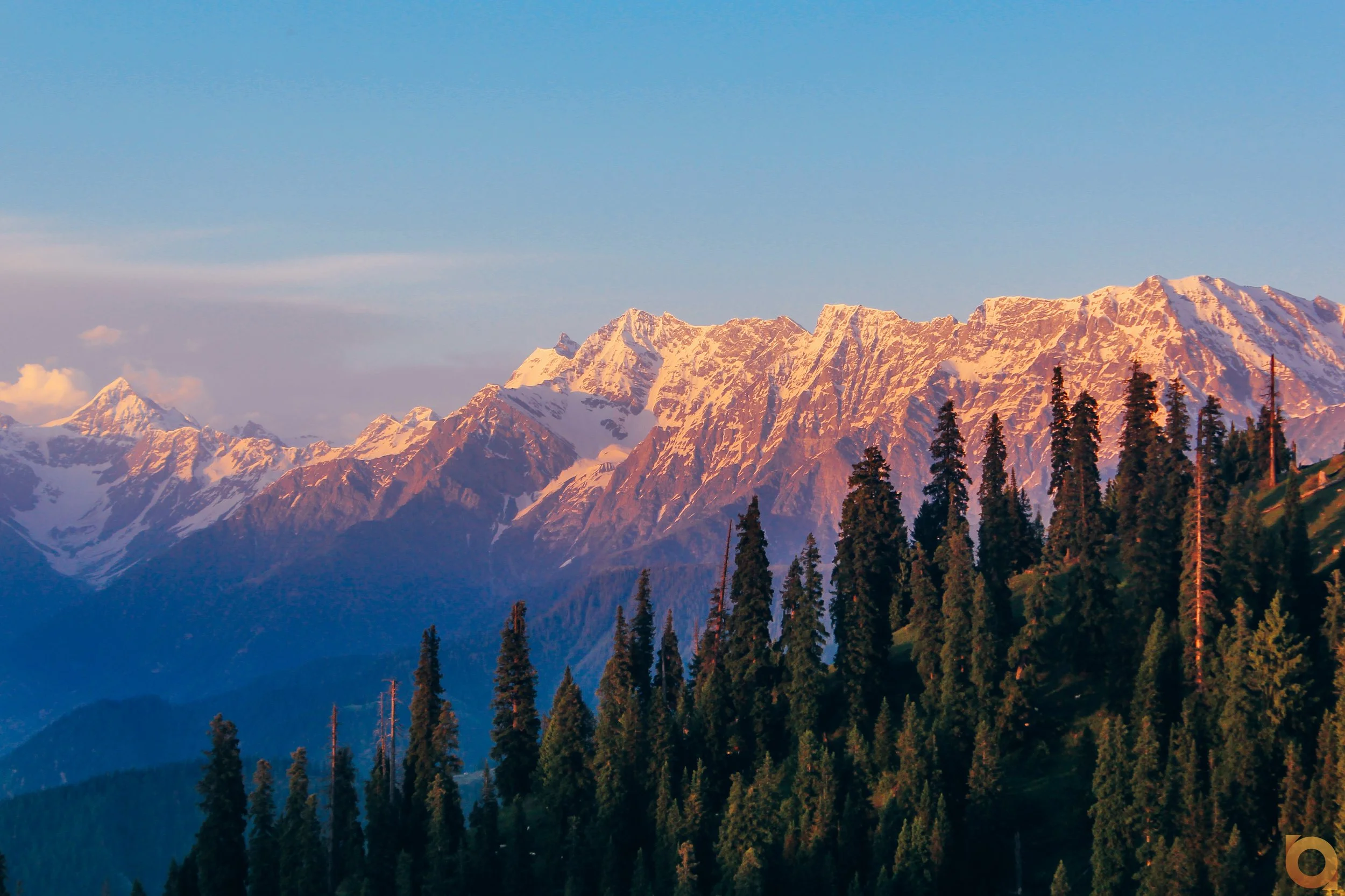 Snow-capped mountains with evergreen trees in the foreground during sunset or sunrise.