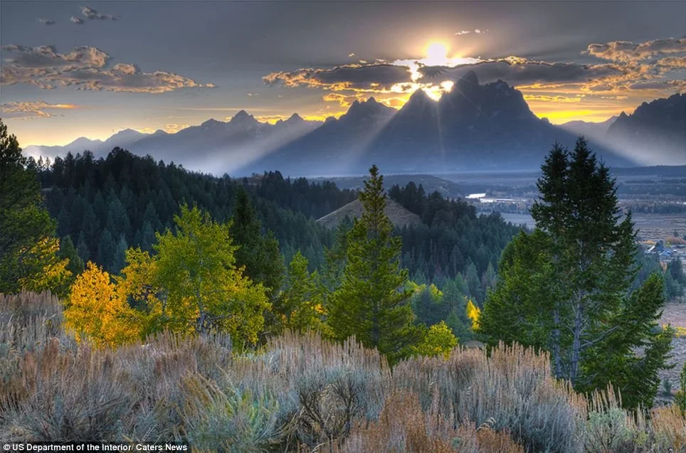 Conservation and Energy Policy