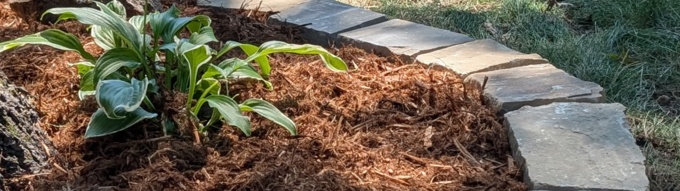 natural stone edgers