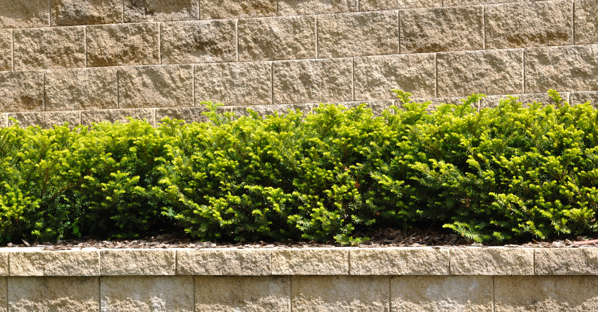 Why Fall Is the Best Time to Build Your Patio or Retaining Wall in the Southeast Metro (And Why You Shouldn't Wait)