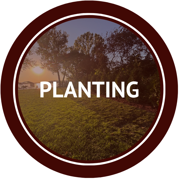 landscaping planting