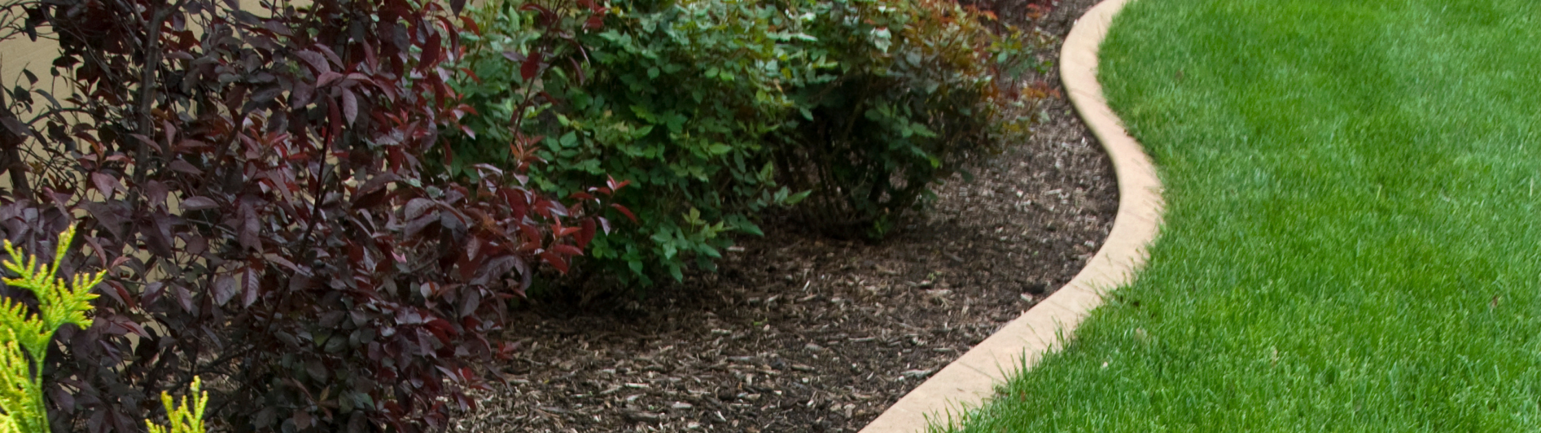 concrete curb edging