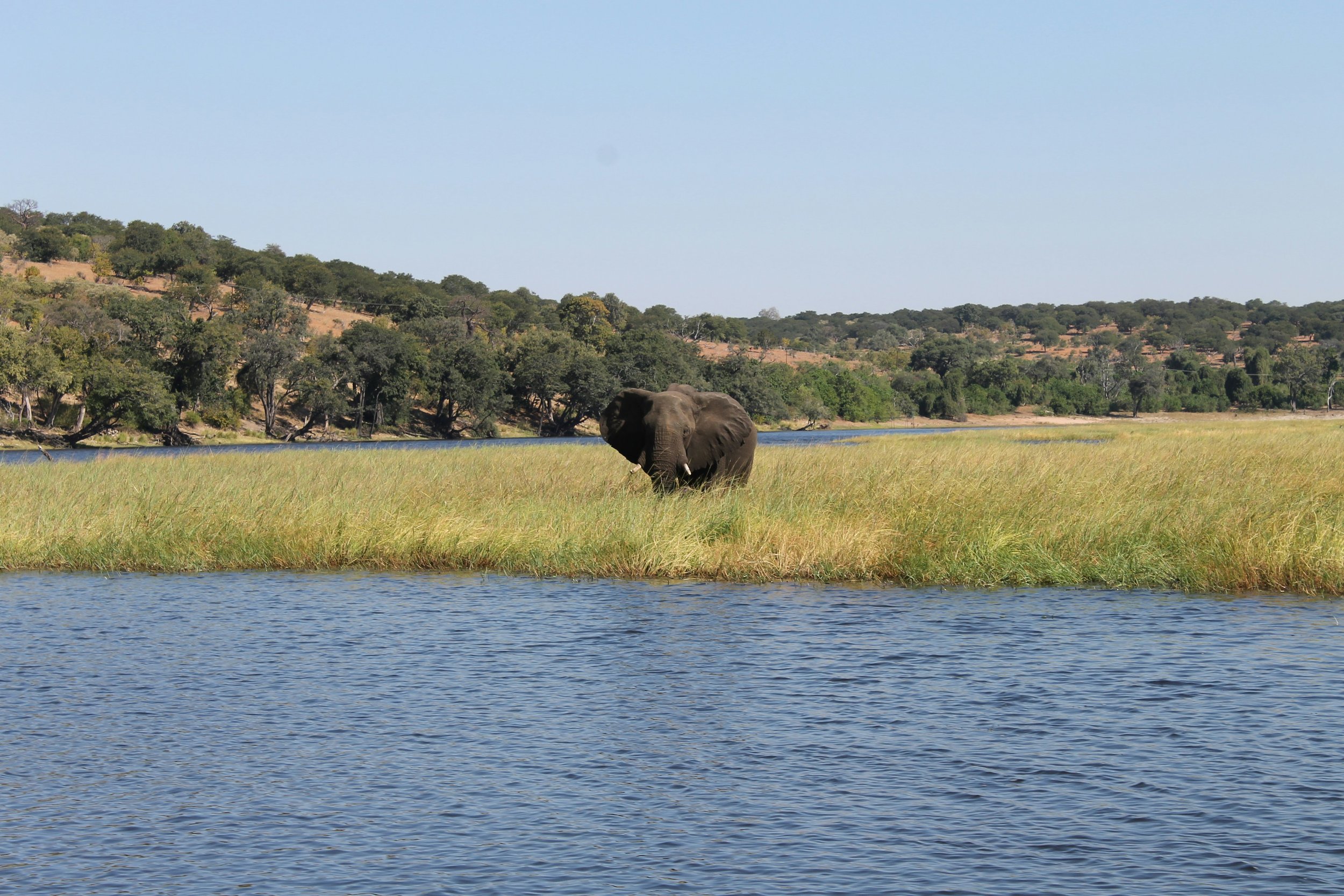 Zambezi Queen River Safari Guide: What It’s Like and How to Combine It with Southern Africa