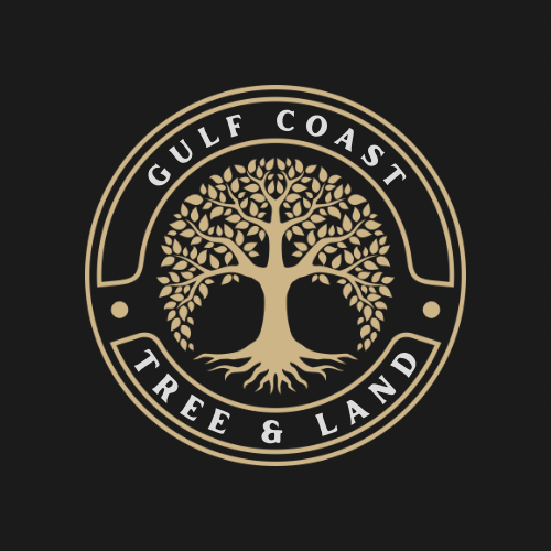 Tree Removal and Trimming Service in Pensacola, FL