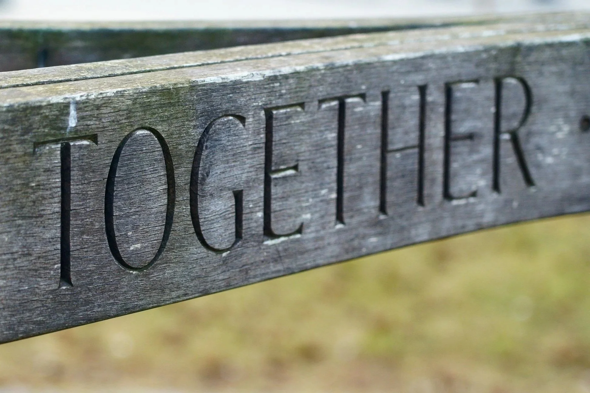 Close-up of a weathered wooden park bench with an engraved 'TOGETHER' on the side.