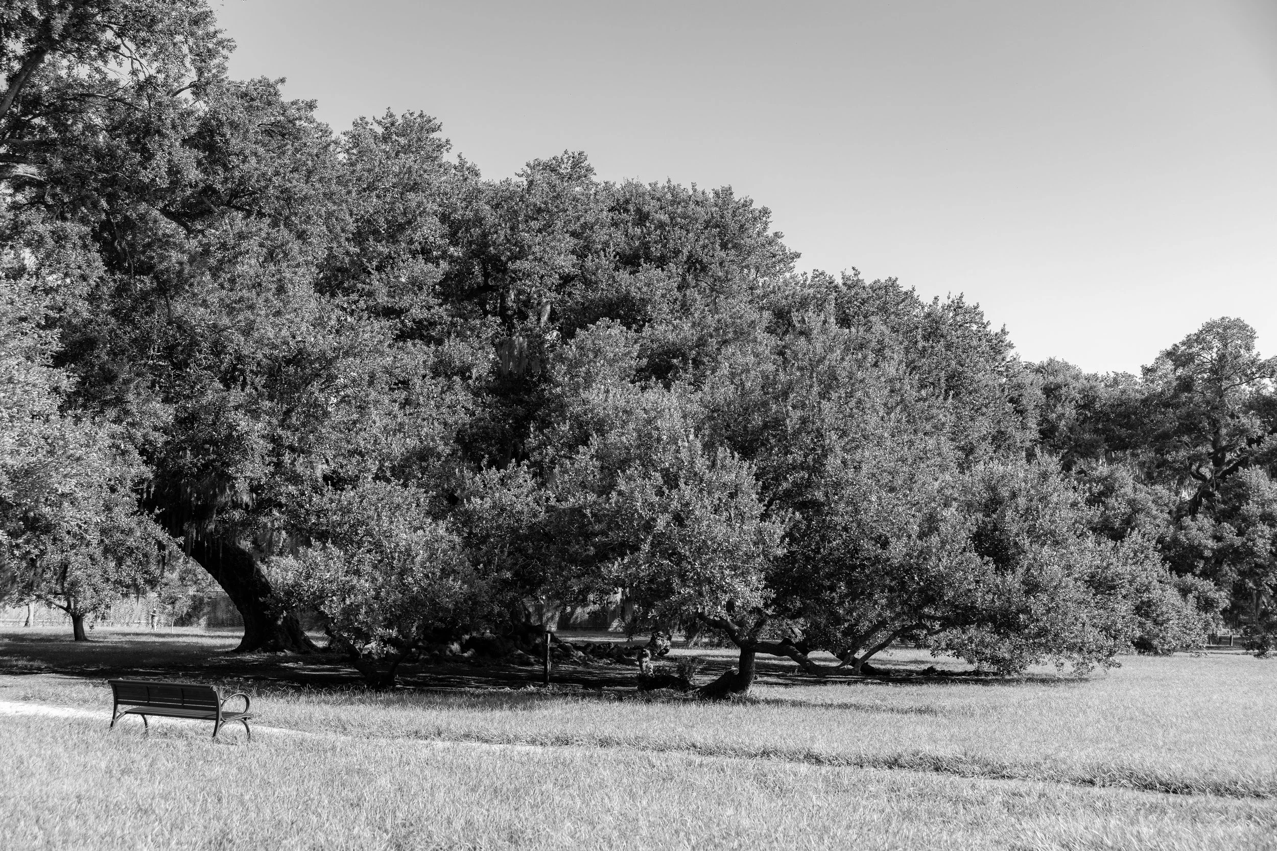 Aric_Becker_Photography-20.jpg