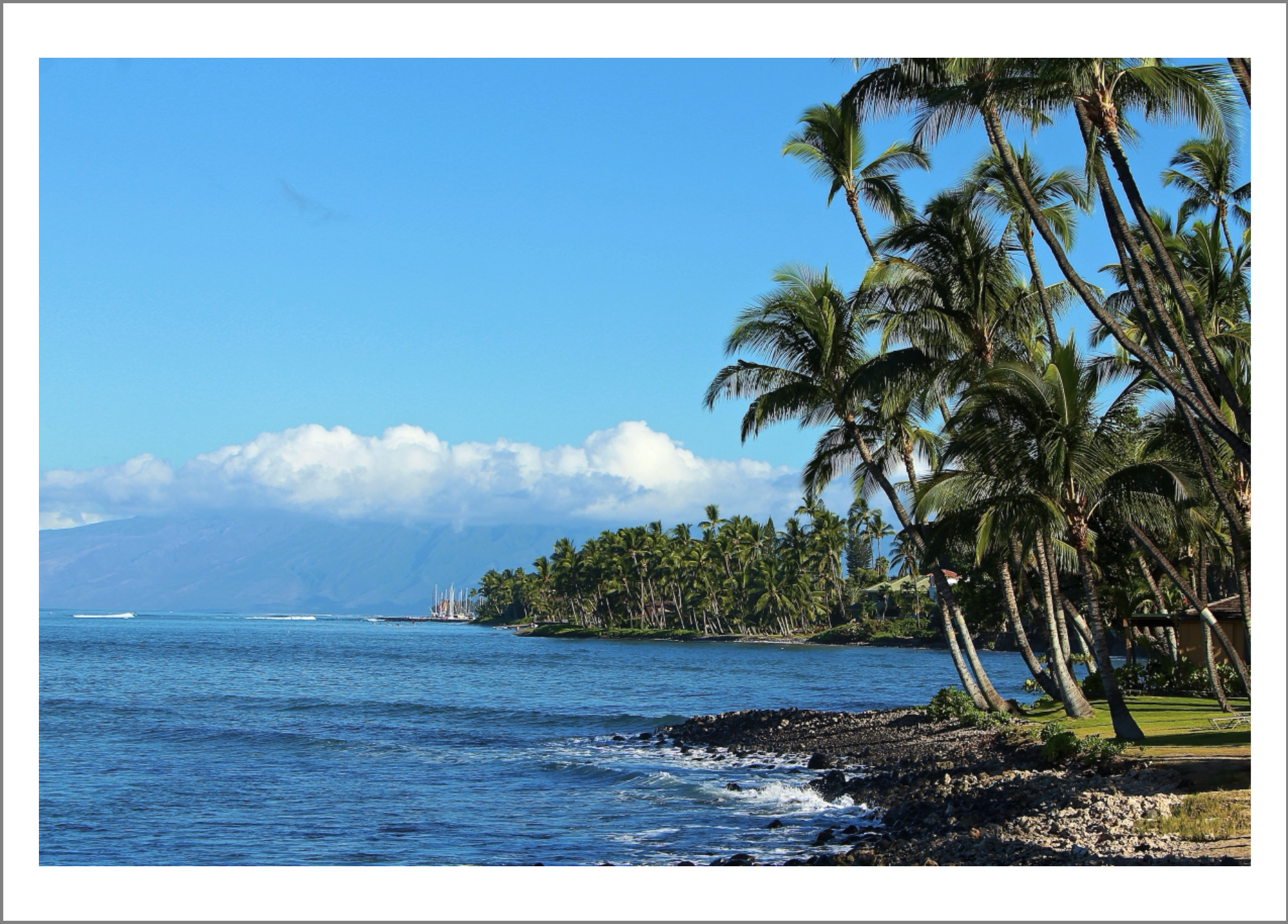 Screenshot 2026-02-04 at 12.39.33 PM.png