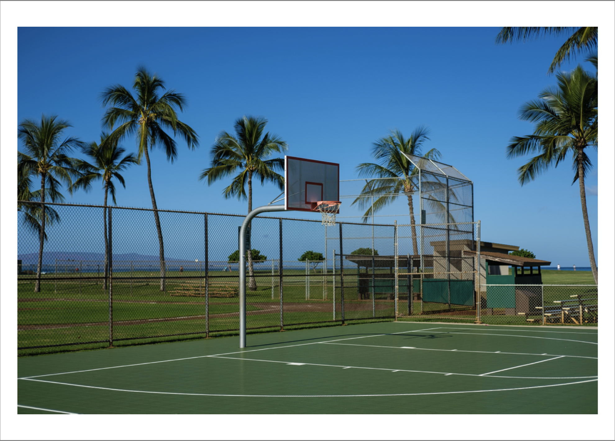 Screenshot 2026-02-04 at 12.42.34 PM.png