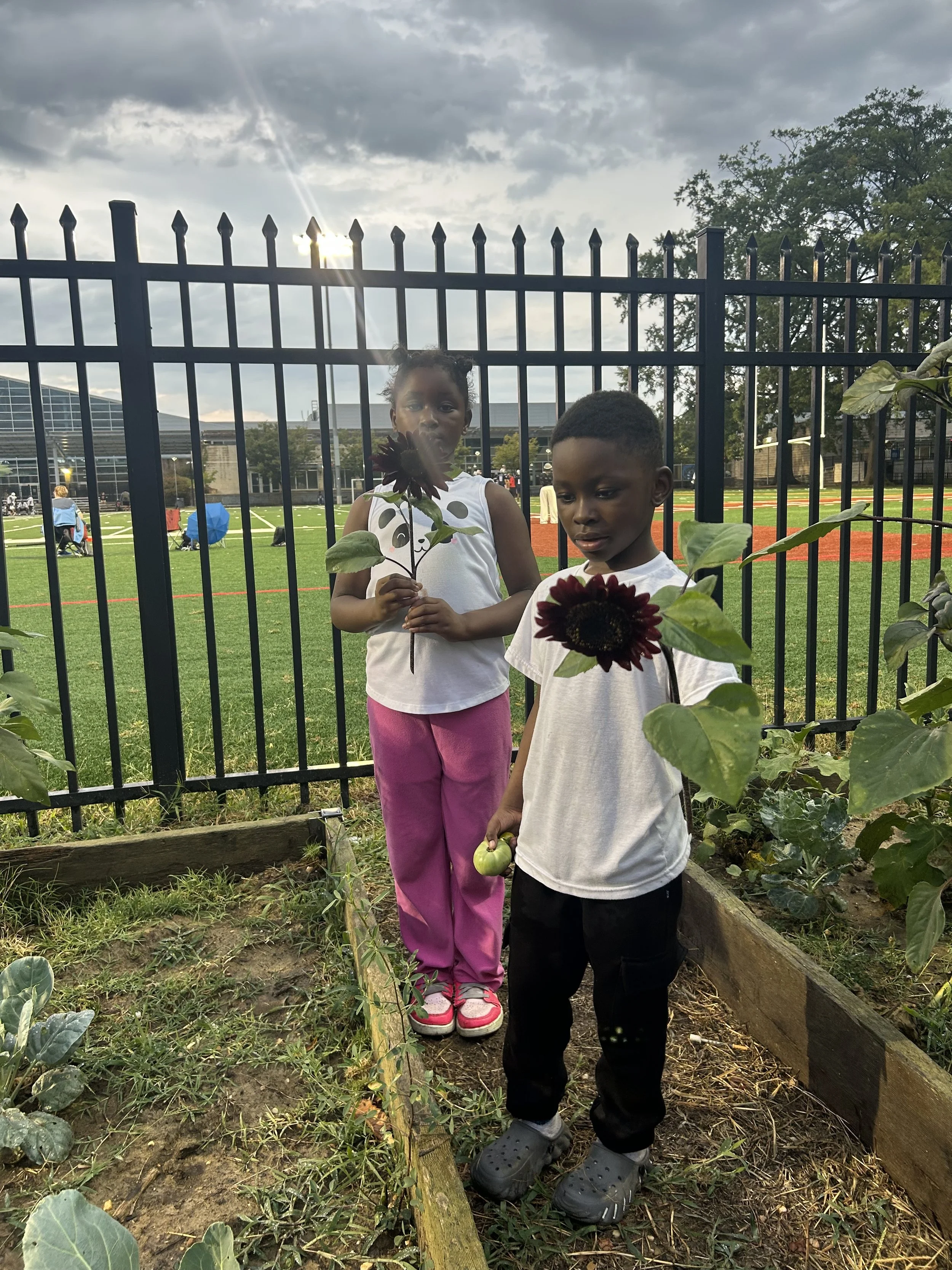 Ron Brown 20 Bed Garden Project