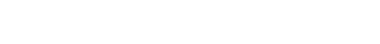 Society of Spooky Ladies