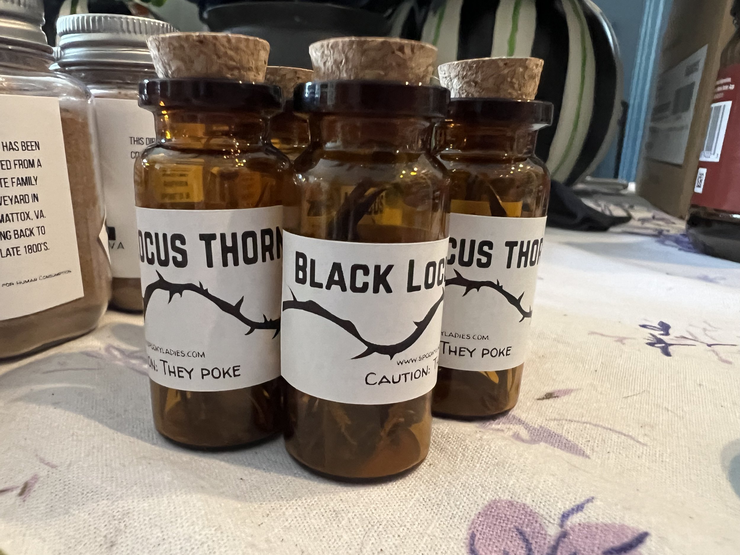Black Locus Thorns