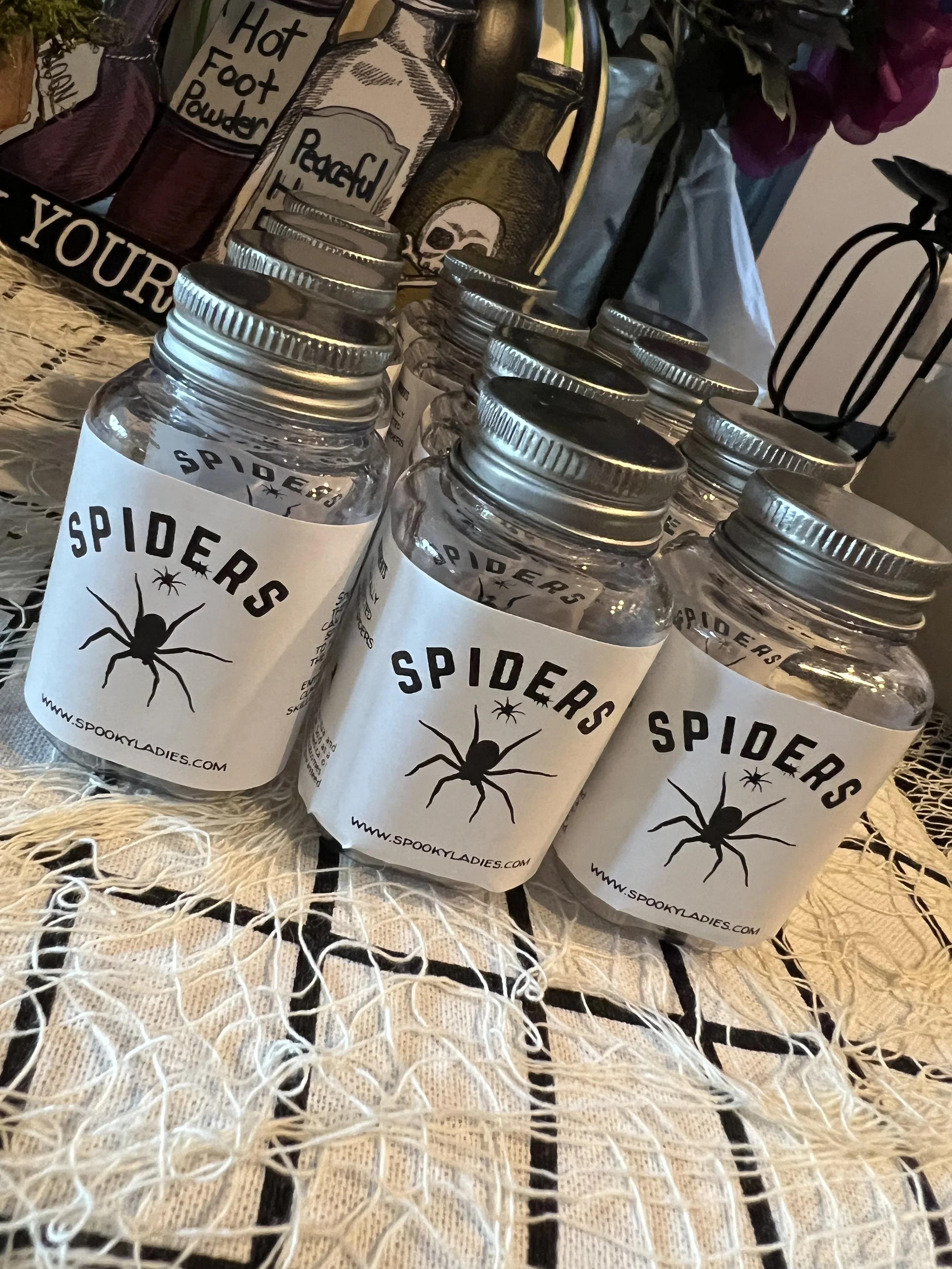 Spiders