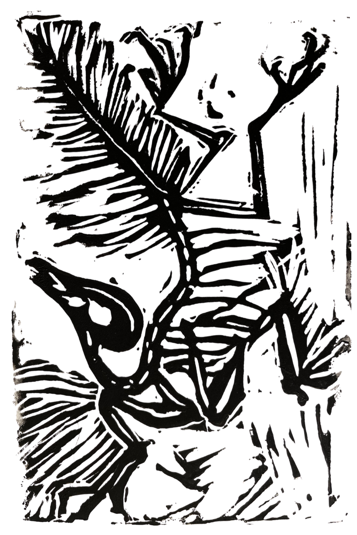 BW%2Barchaeopteryx.png (Copy)