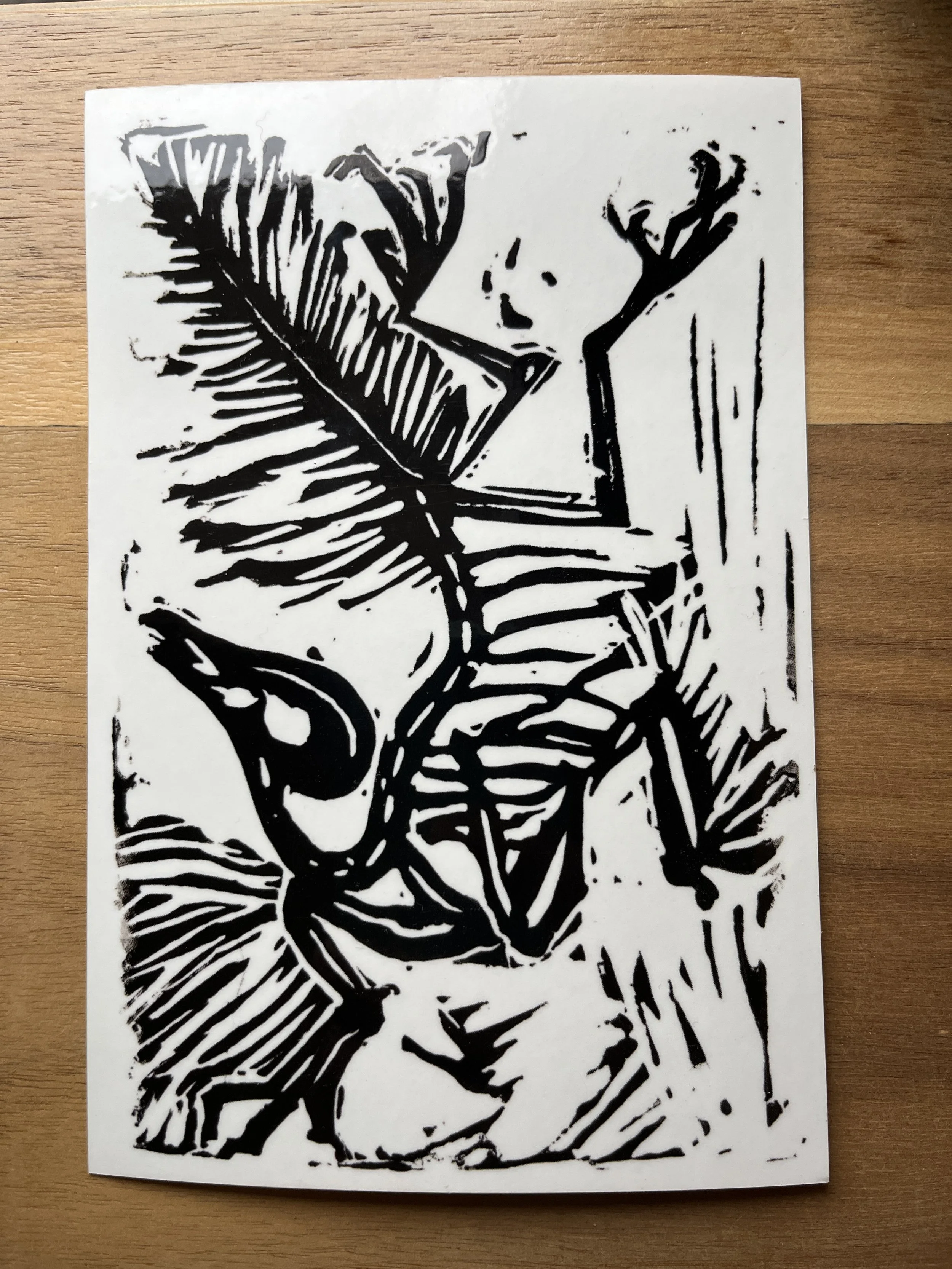 Archaeopteryx Fossil Dinosaur Sticker (Clear Background)