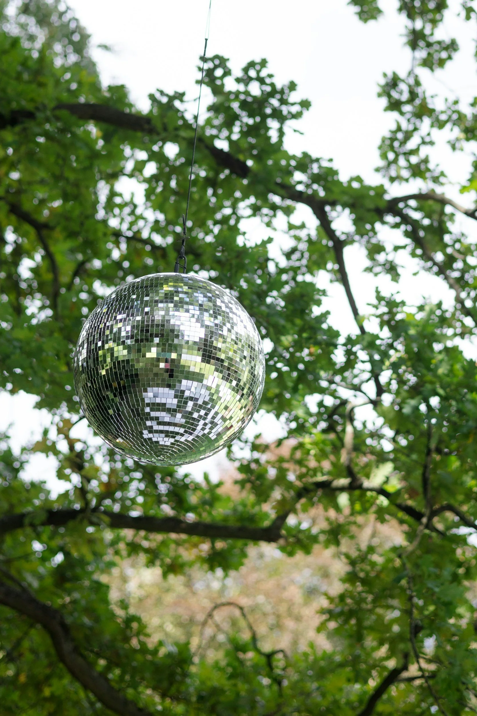 A reflective disco ball hanging from a tree in a forested area.