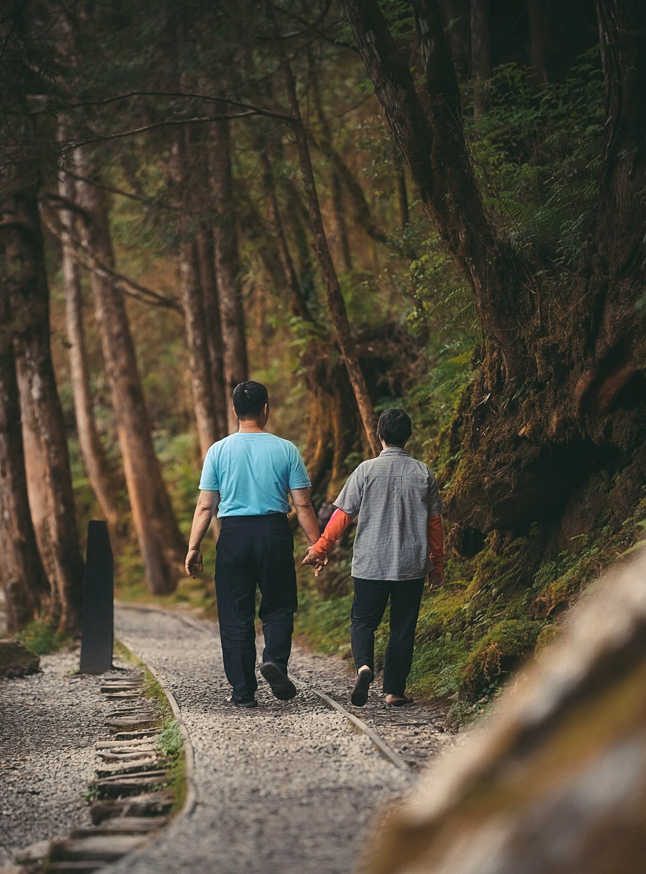 Two people walk hand in hand along a forested railway track, surrounded by tall trees and lush greenery.