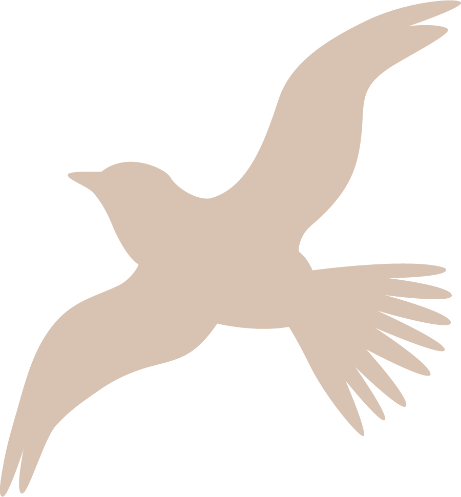 Neat Marketing bird icon represents social media support for your small business or non-profit.