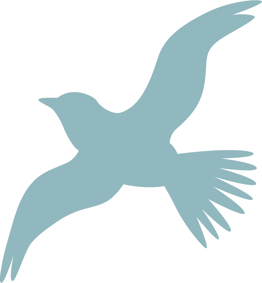 Neat Marketing's bird graphic represents social media support solutions for you.