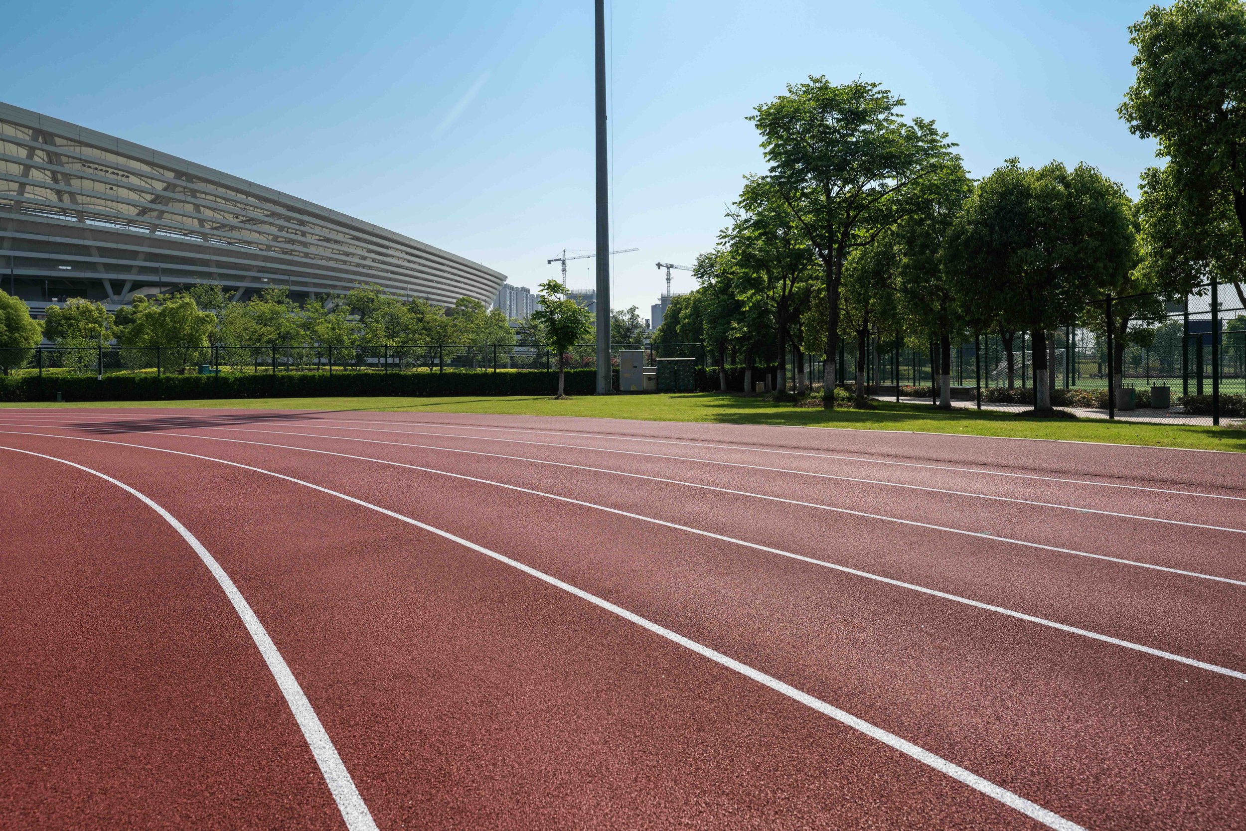 Eyes Forward: How to Stop Running the Wrong Race in Recovery