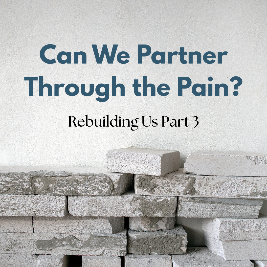 Rebuilding Us: Can We Partner Through the Pain?