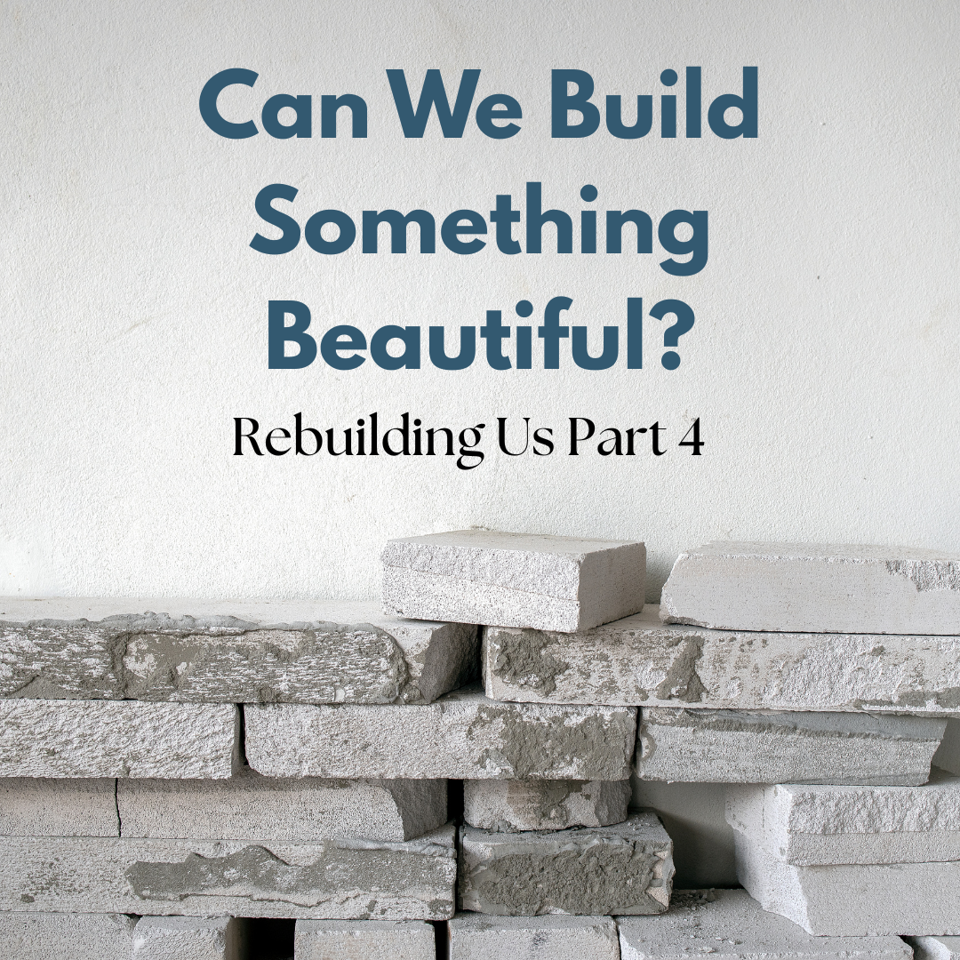 Rebuilding Us: Can We Build Something Beautiful?