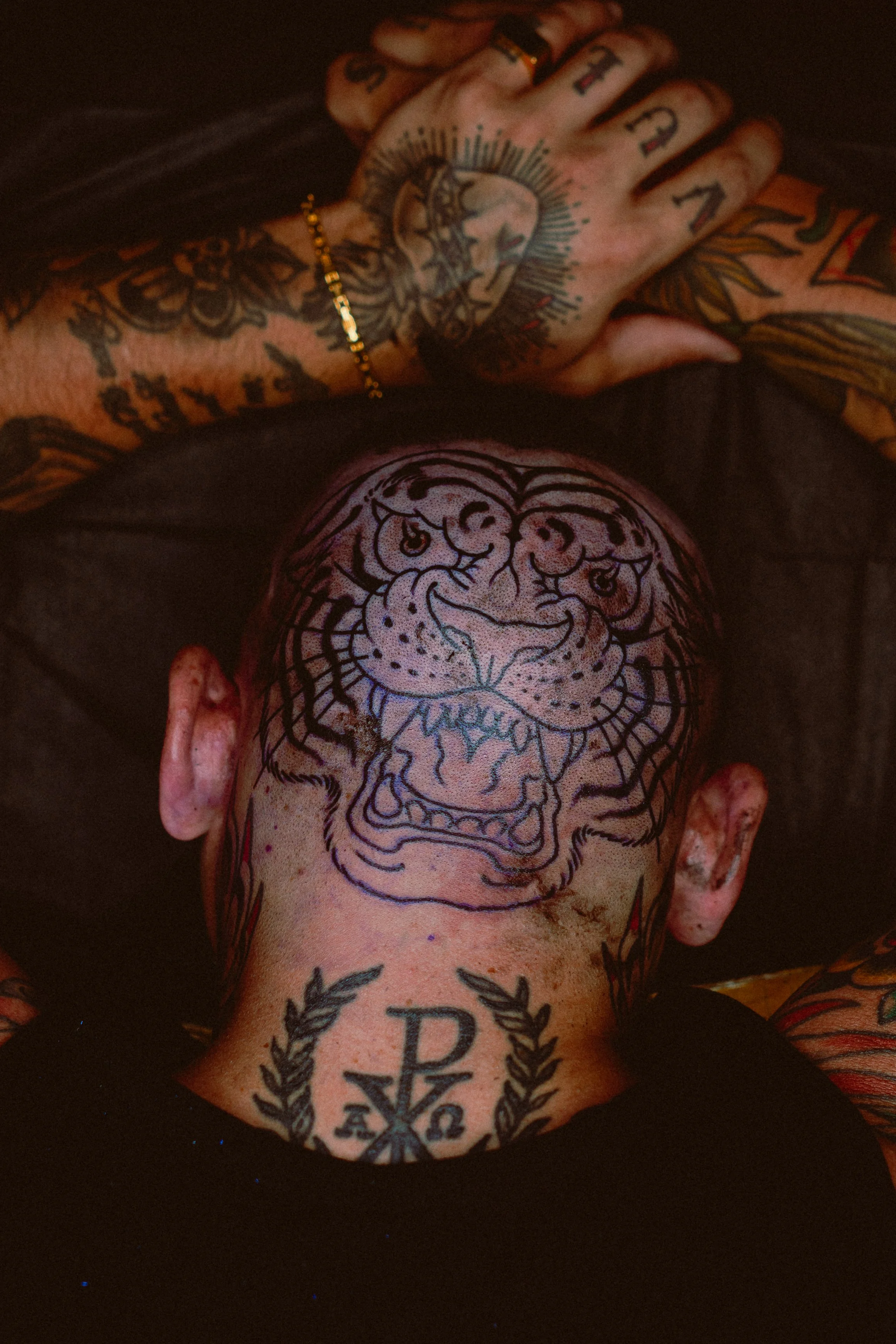 VISUALSBYTYRE X ERIK - BACK OF HEAD TIGER-21.jpeg