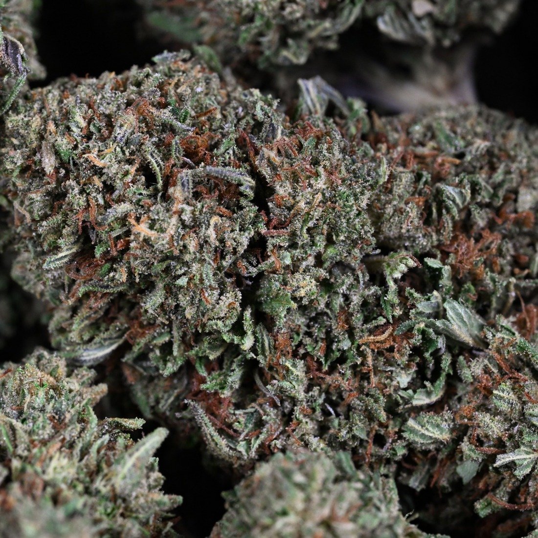 Caramel Kush Pic 4.jpg